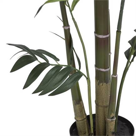 Coco Maison Kentia Palm plant H210cm